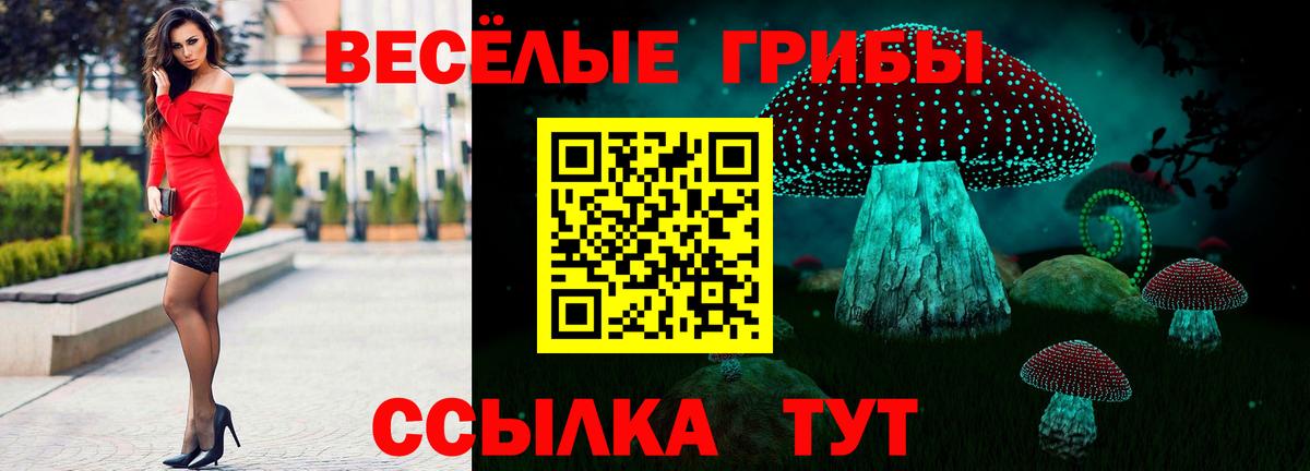 Псилоцибиновые грибы ЛСД  Галлюциногенные грибы Cubensis  Лесозаводск  наркошоп  Вход с VPN 